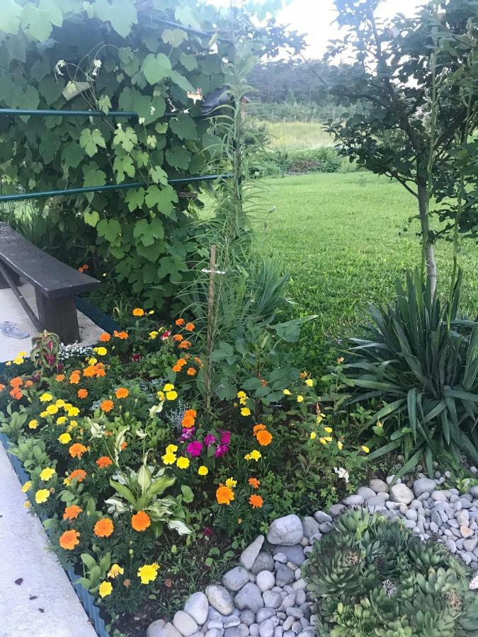 Guest House Klanfar Grabovac  Luaran gambar